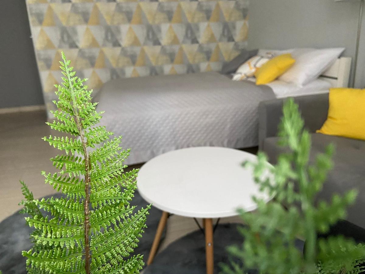 Apartament Na Starowce III Pszczyna Bagian luar foto